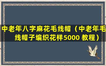 中老年八字麻花毛线帽（中老年毛线帽子编织花样5000 教程）